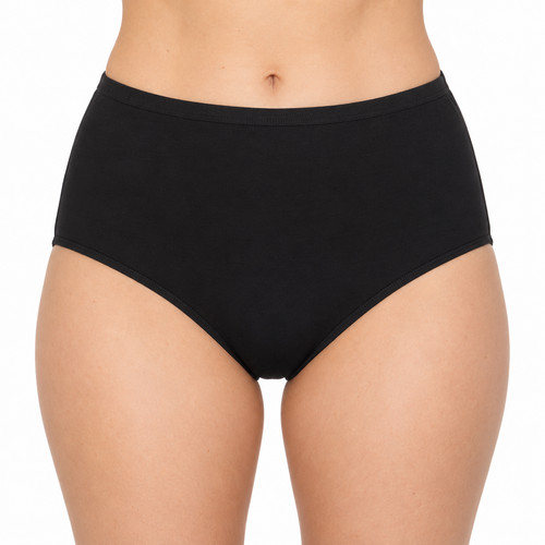 Ladies full briefs - ex,